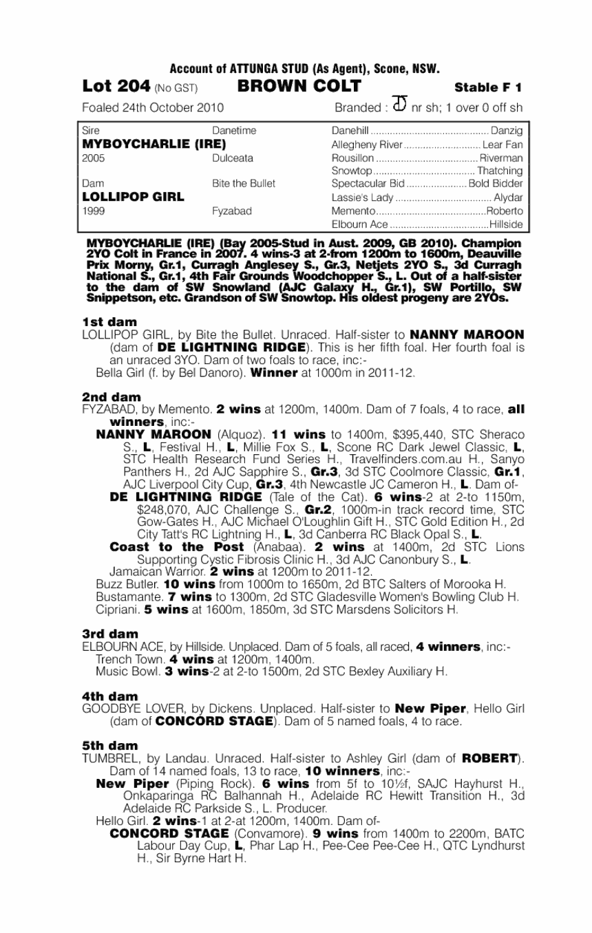 Myboycharlie (IRE) / Lollipop Girl (AUS) - pedigree