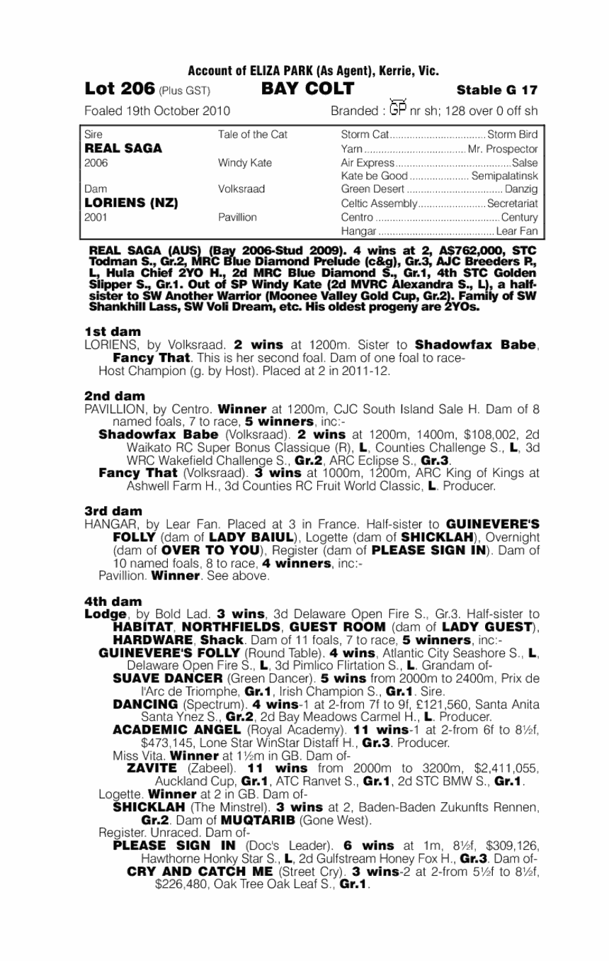 It's A Saga - pedigree