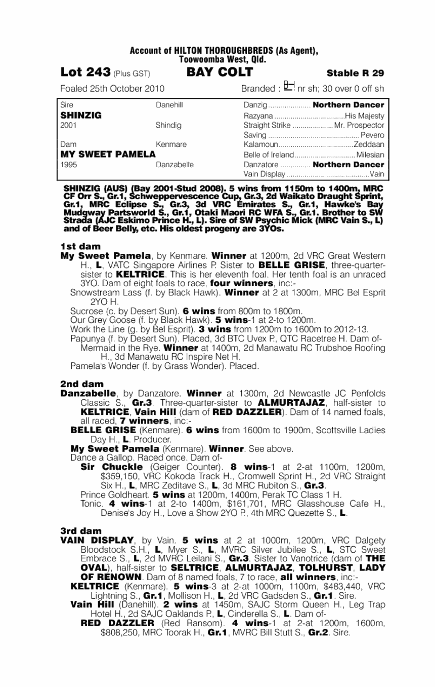 Bit Of A Bash - pedigree