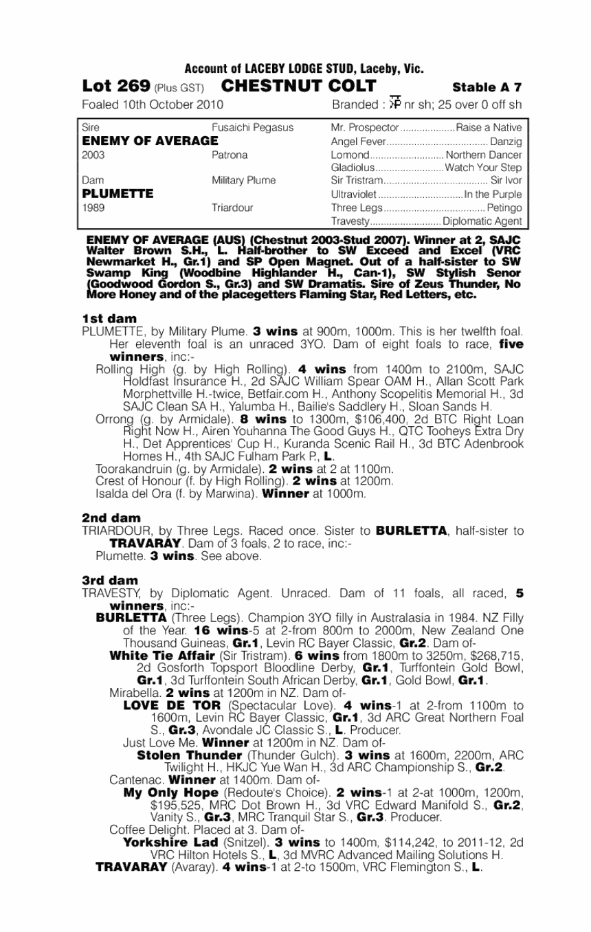 Enemy Of Average (AUS) / Plumette (AUS) - pedigree