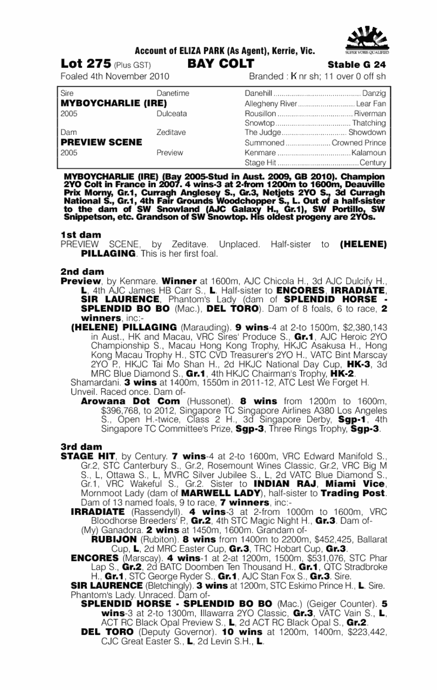 All Great Friends (AUS) - pedigree