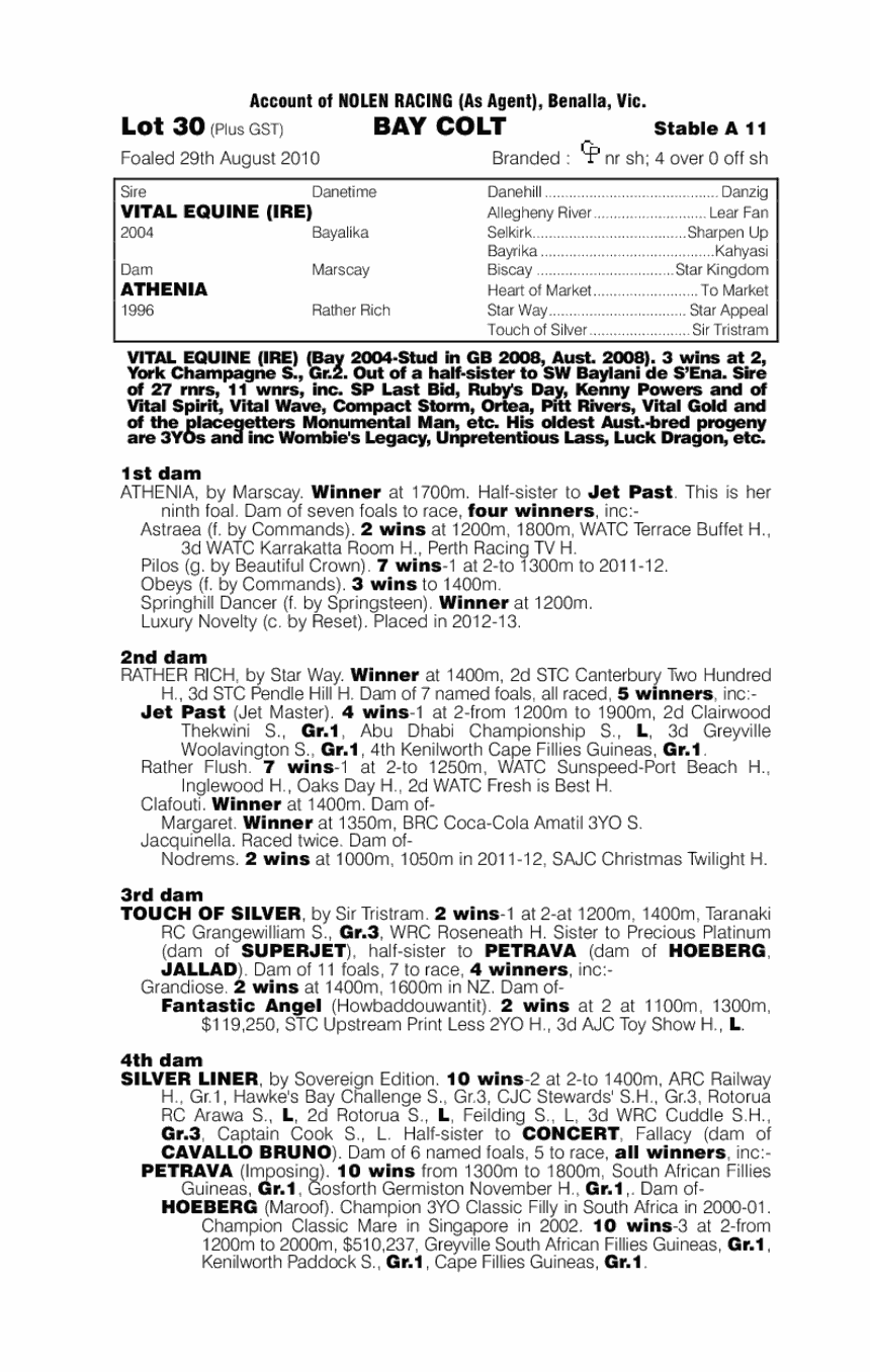 Vital Equine (IRE) / Athenia (AUS) - pedigree