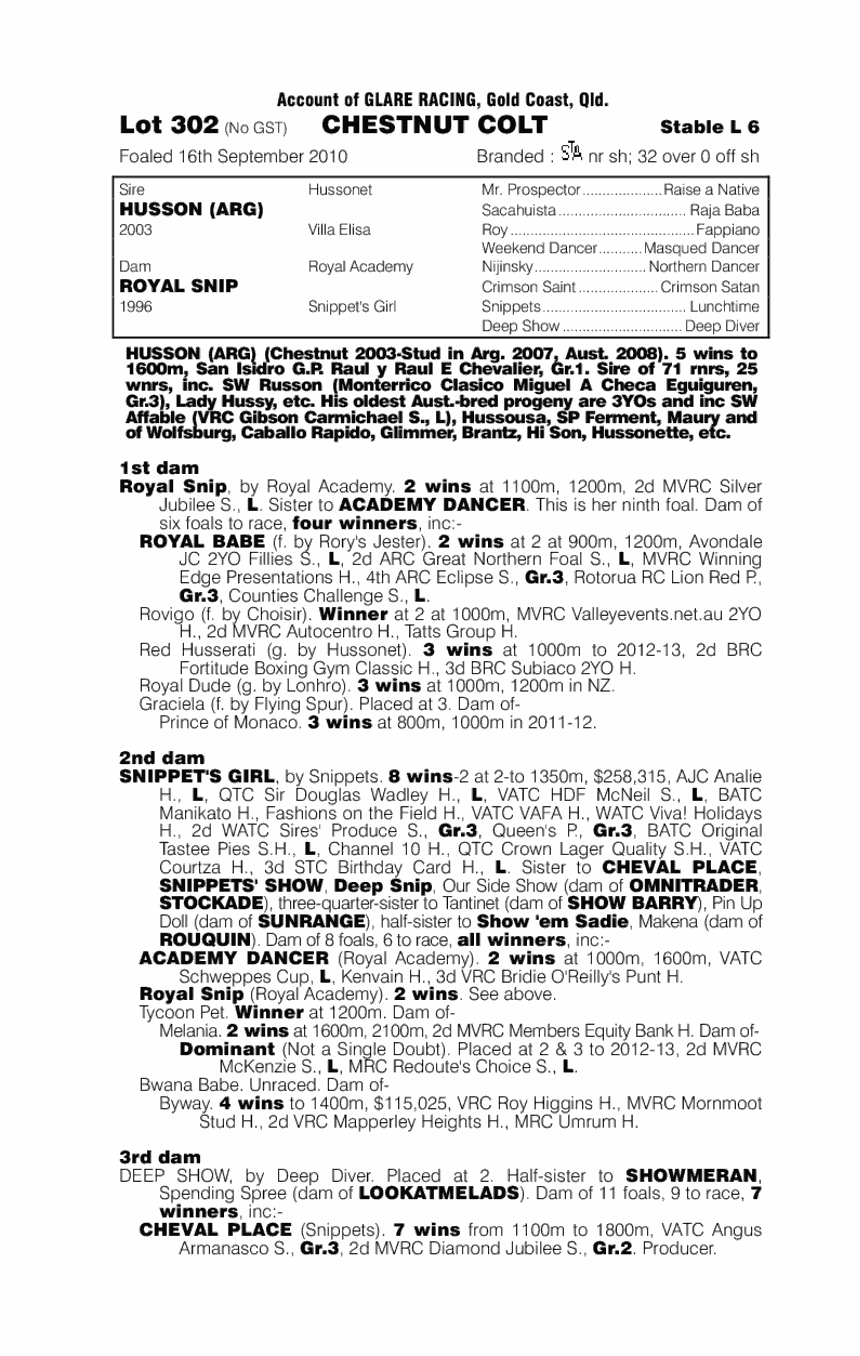 Red Dazzle - pedigree