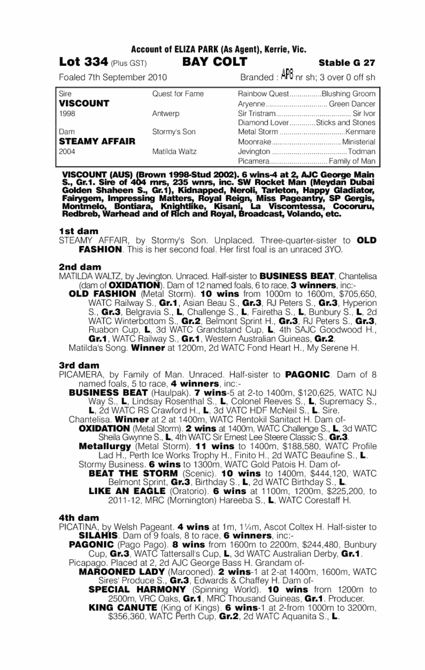 Hot Aristocrat - pedigree