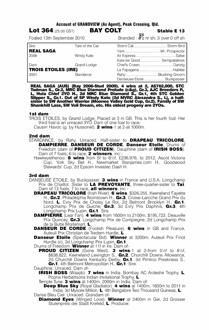 Real Finniss - pedigree