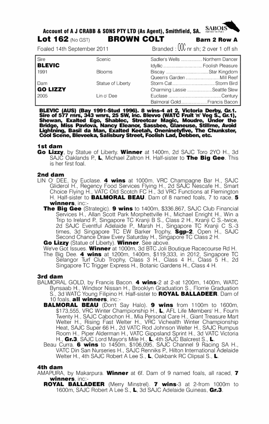 Lim's Battle (AUS) - pedigree