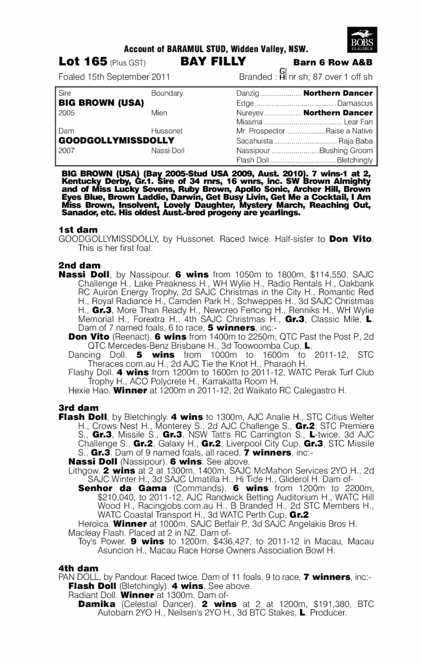 Dolly Girl (AUS) - pedigree