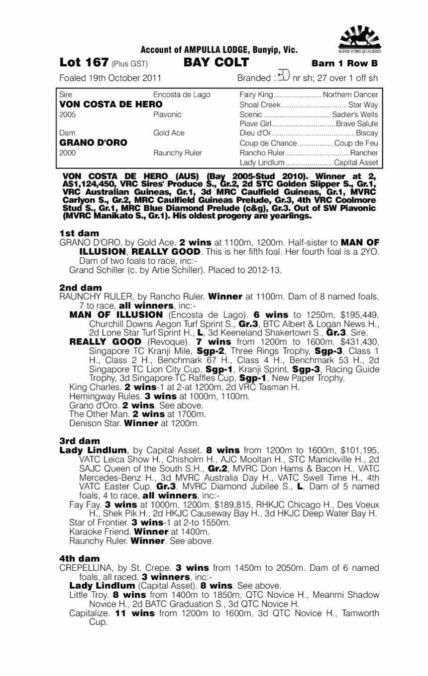 Von Costa De Hero (AUS) / Grano D'oro (AUS) - pedigree