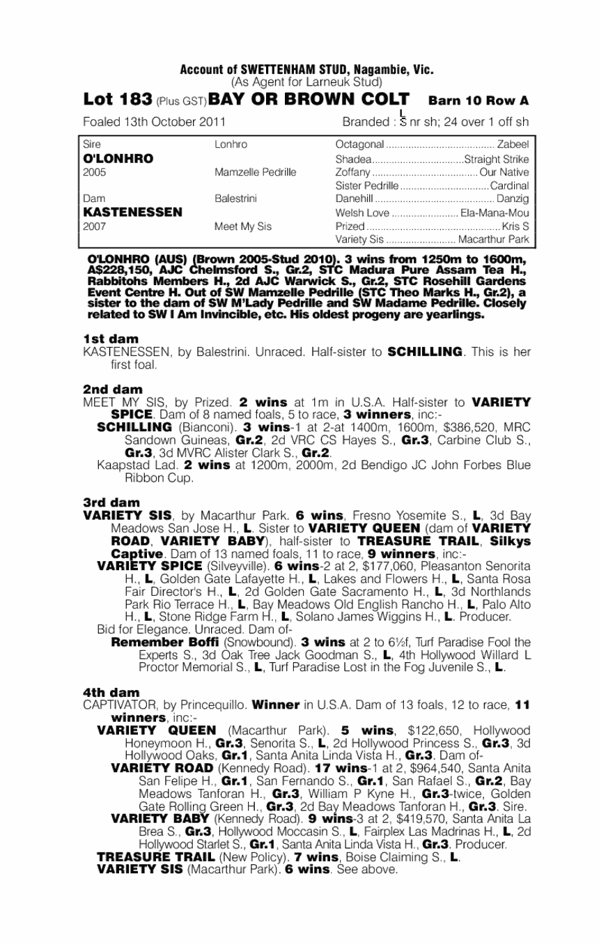 O'lonhro (AUS) / Kastenessen (AUS) - pedigree