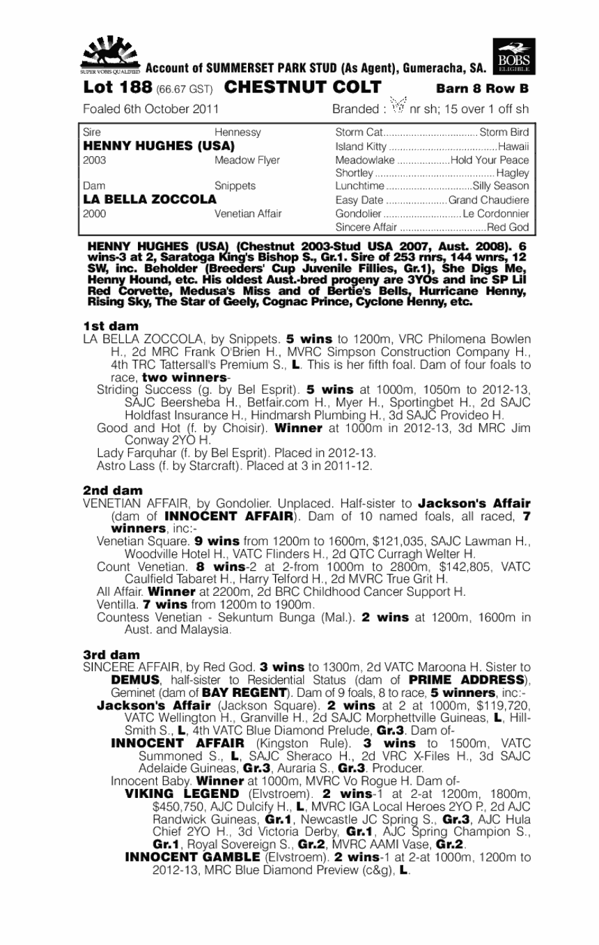 Sky Full Of Stars (AUS) - pedigree