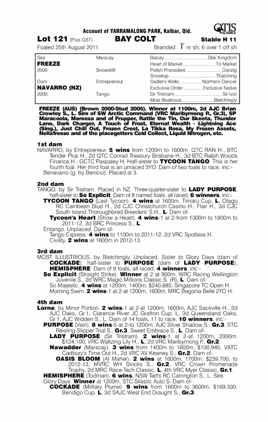 Not Negotiable (AUS) - pedigree