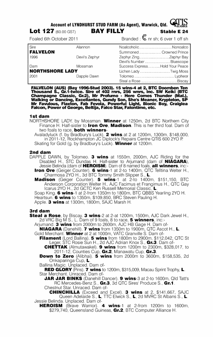 Our Promise Ci (AUS) - pedigree