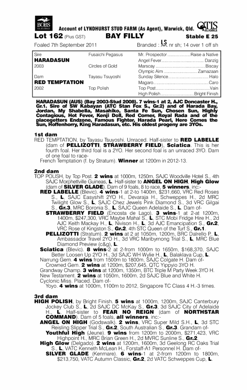 Icy Red (AUS) - pedigree