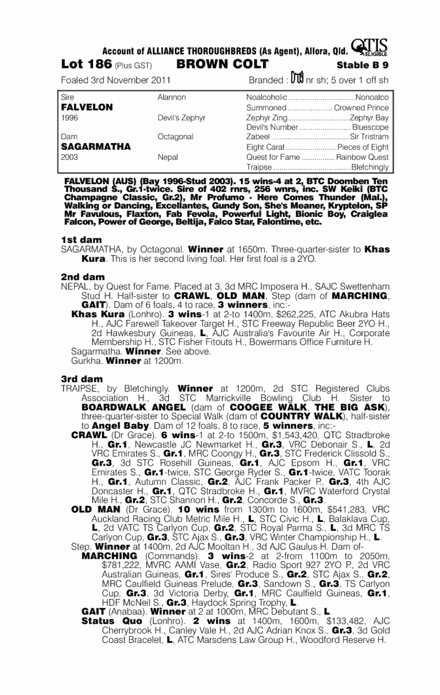 Wig Wam Bam (AUS) - pedigree