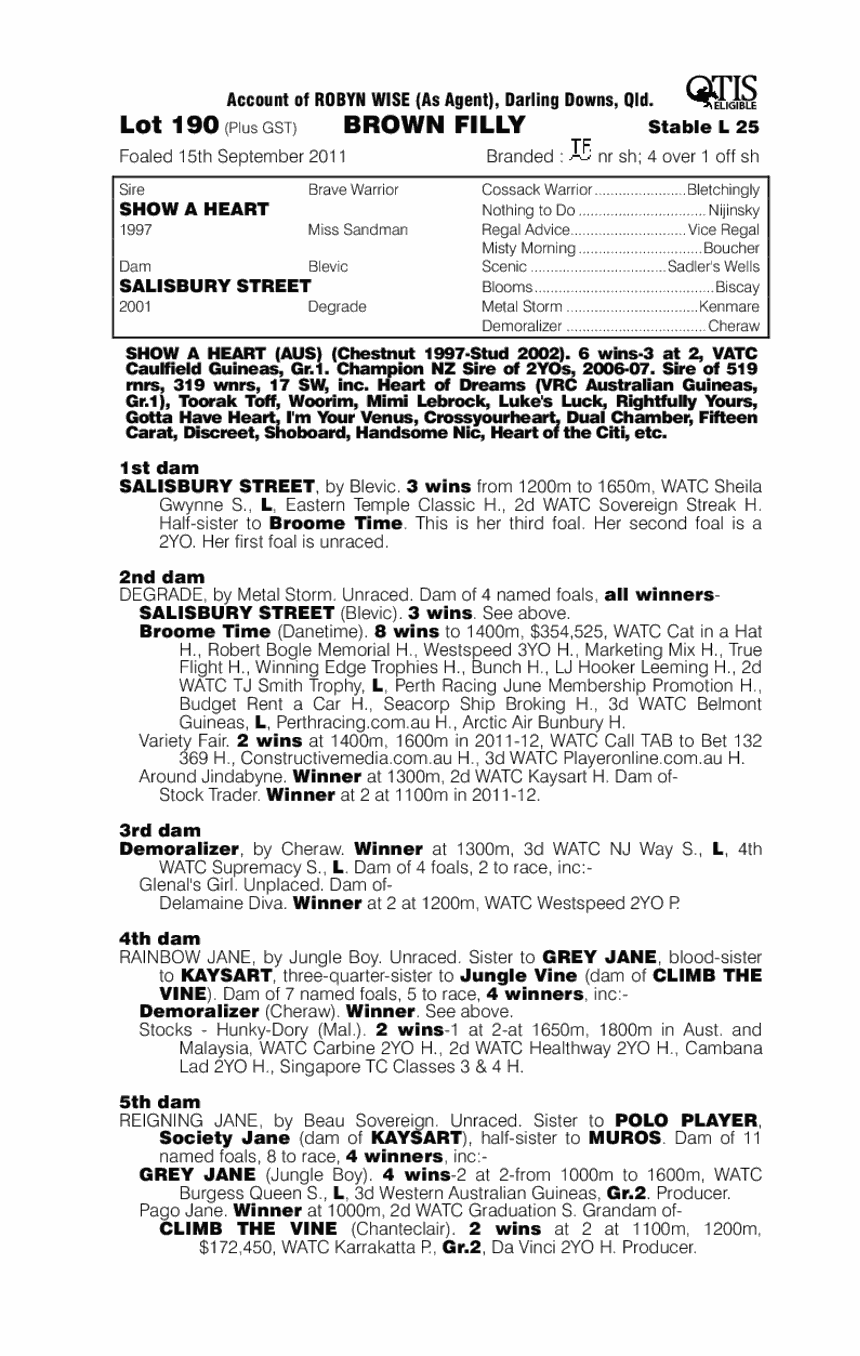 Torsades (AUS) - pedigree