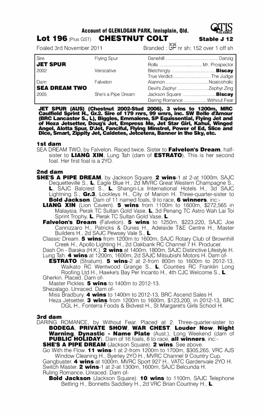 Twin Fighter (AUS) - pedigree
