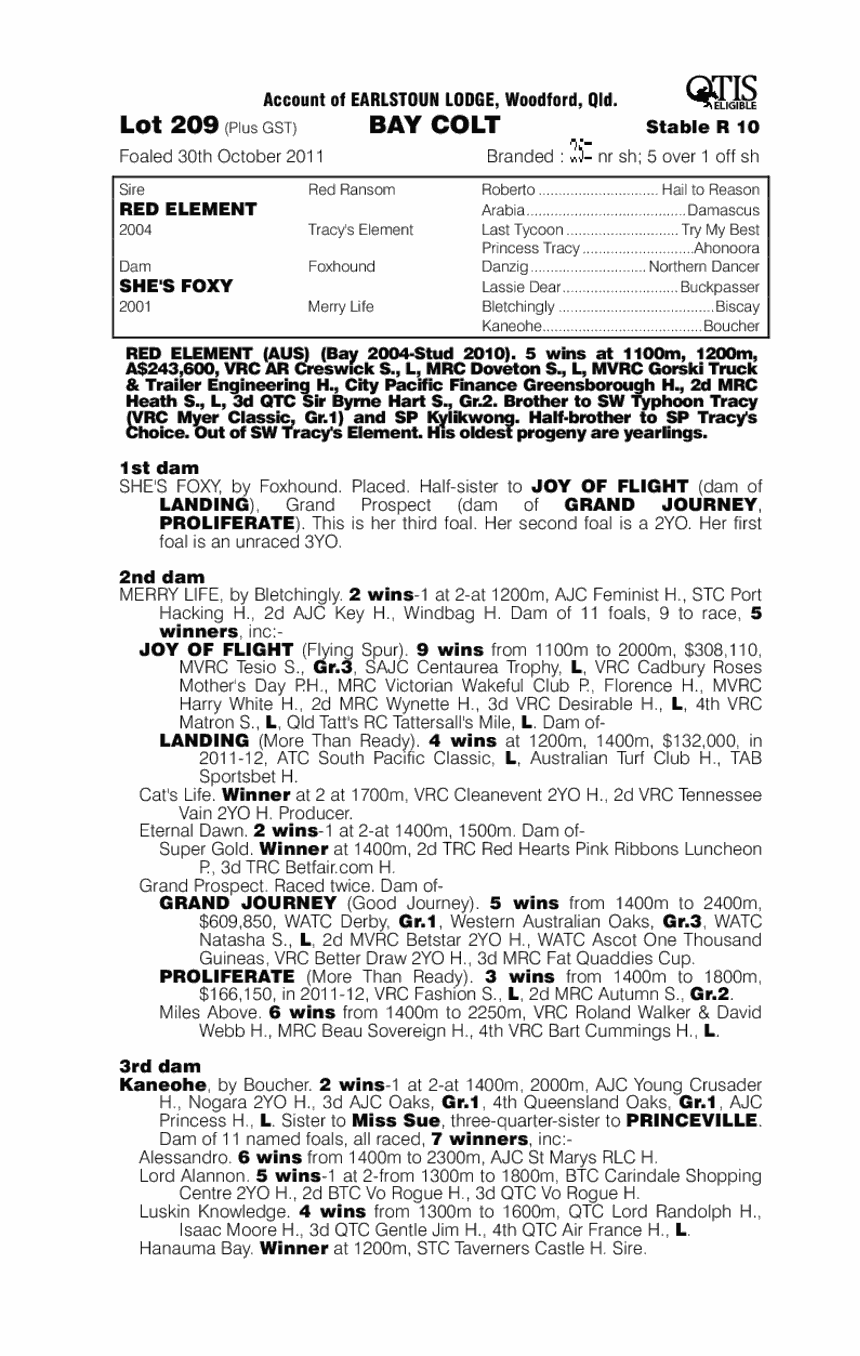Red Element (AUS) / She's Foxy (AUS) - pedigree