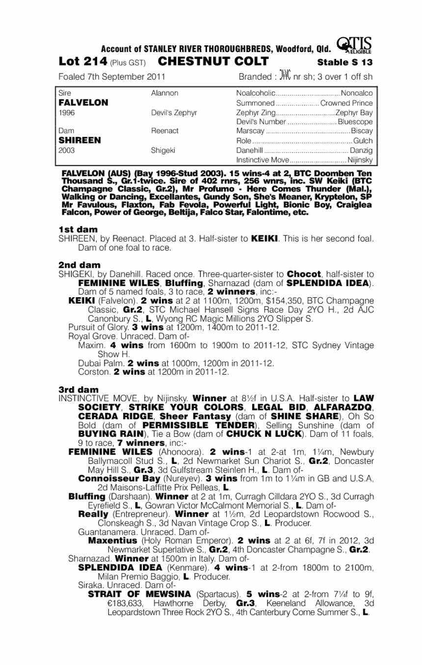 Clean Up Star (AUS) - pedigree