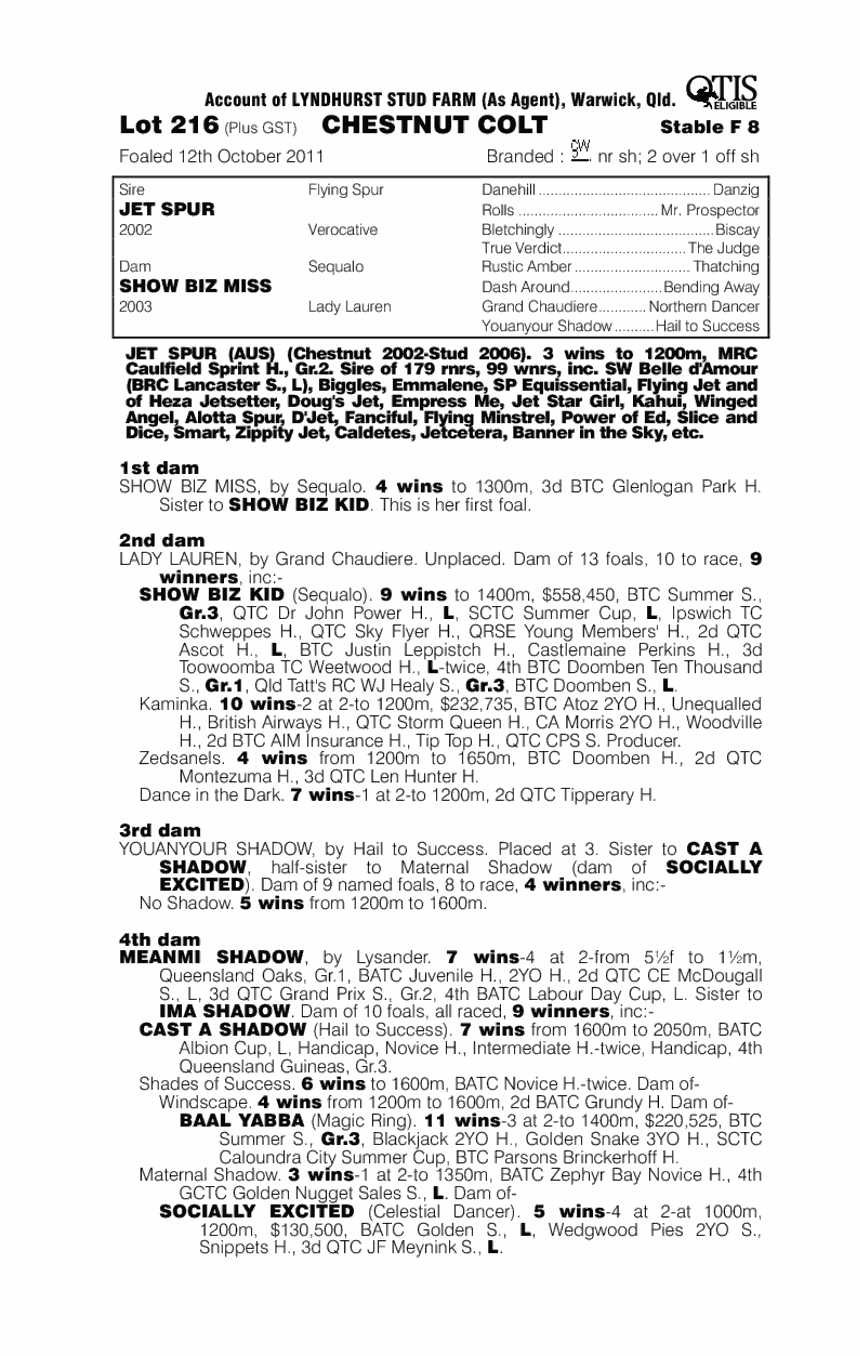 Speedshow (AUS) - pedigree