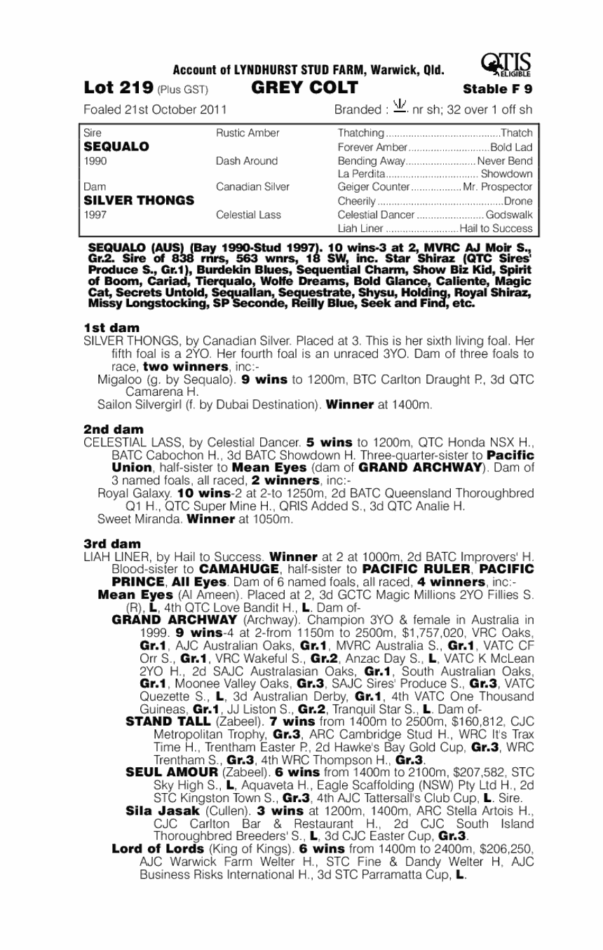 Siliqua (AUS) - pedigree