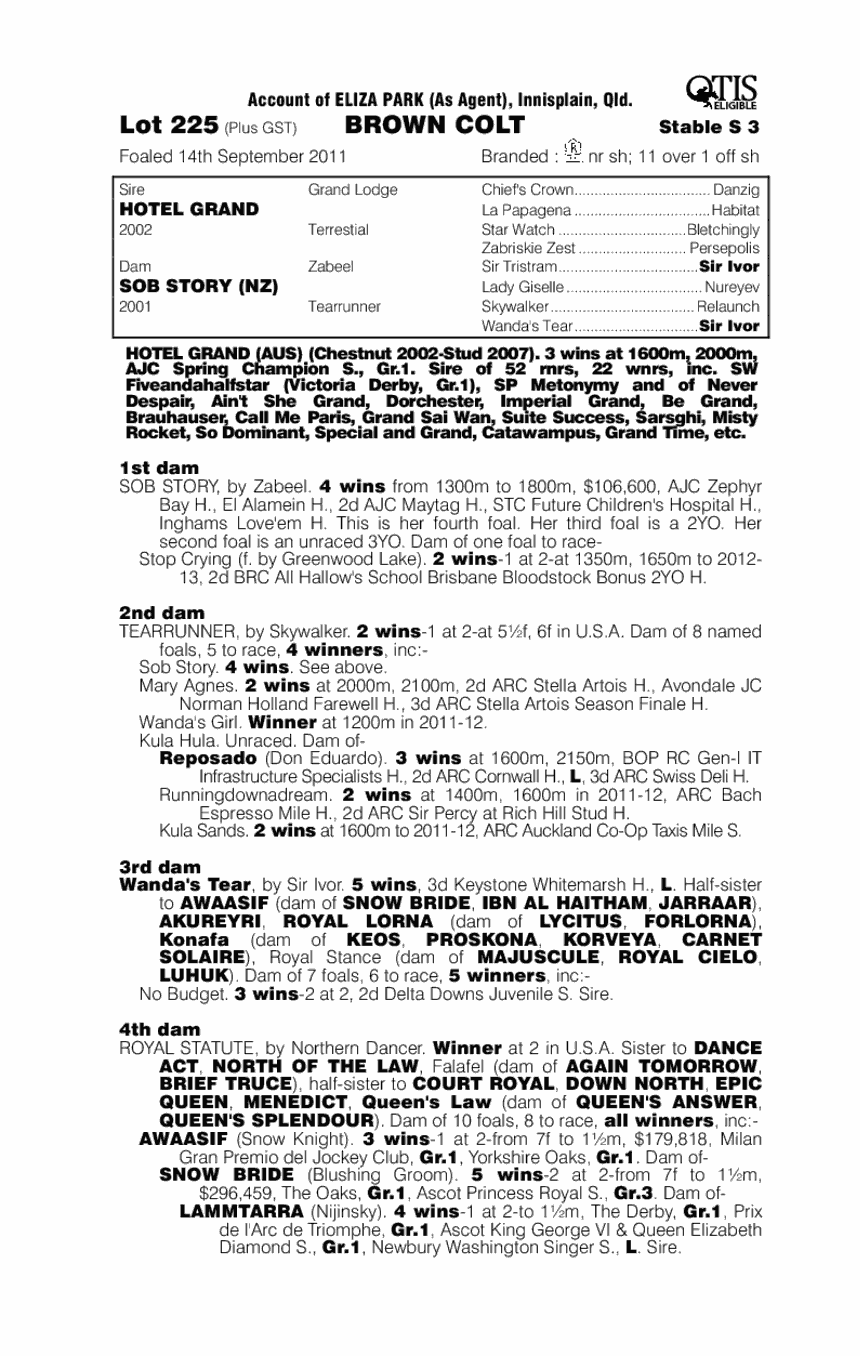 Grand Rocket (AUS) - pedigree