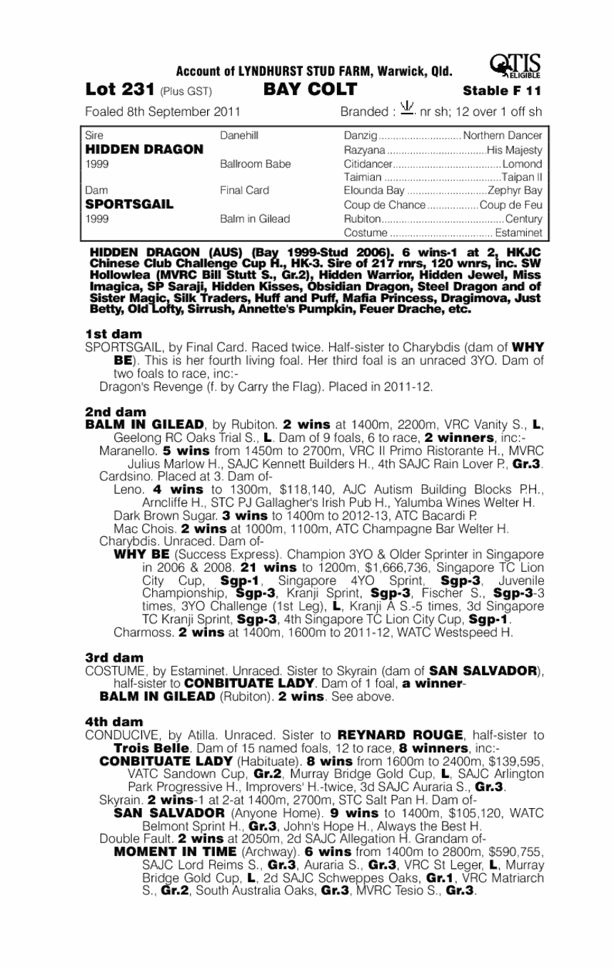 Dragster (AUS) - pedigree