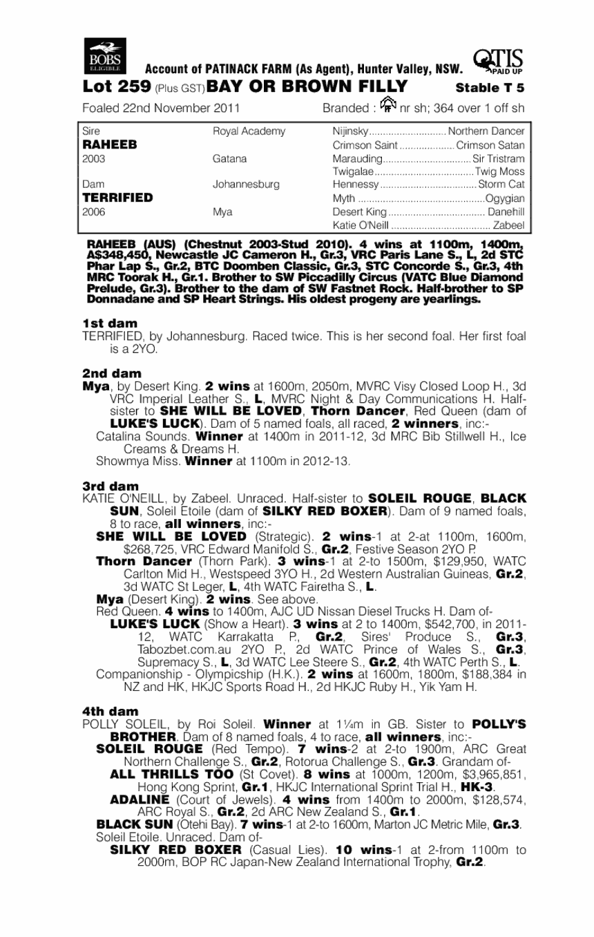 Hot Tempo (AUS) - pedigree