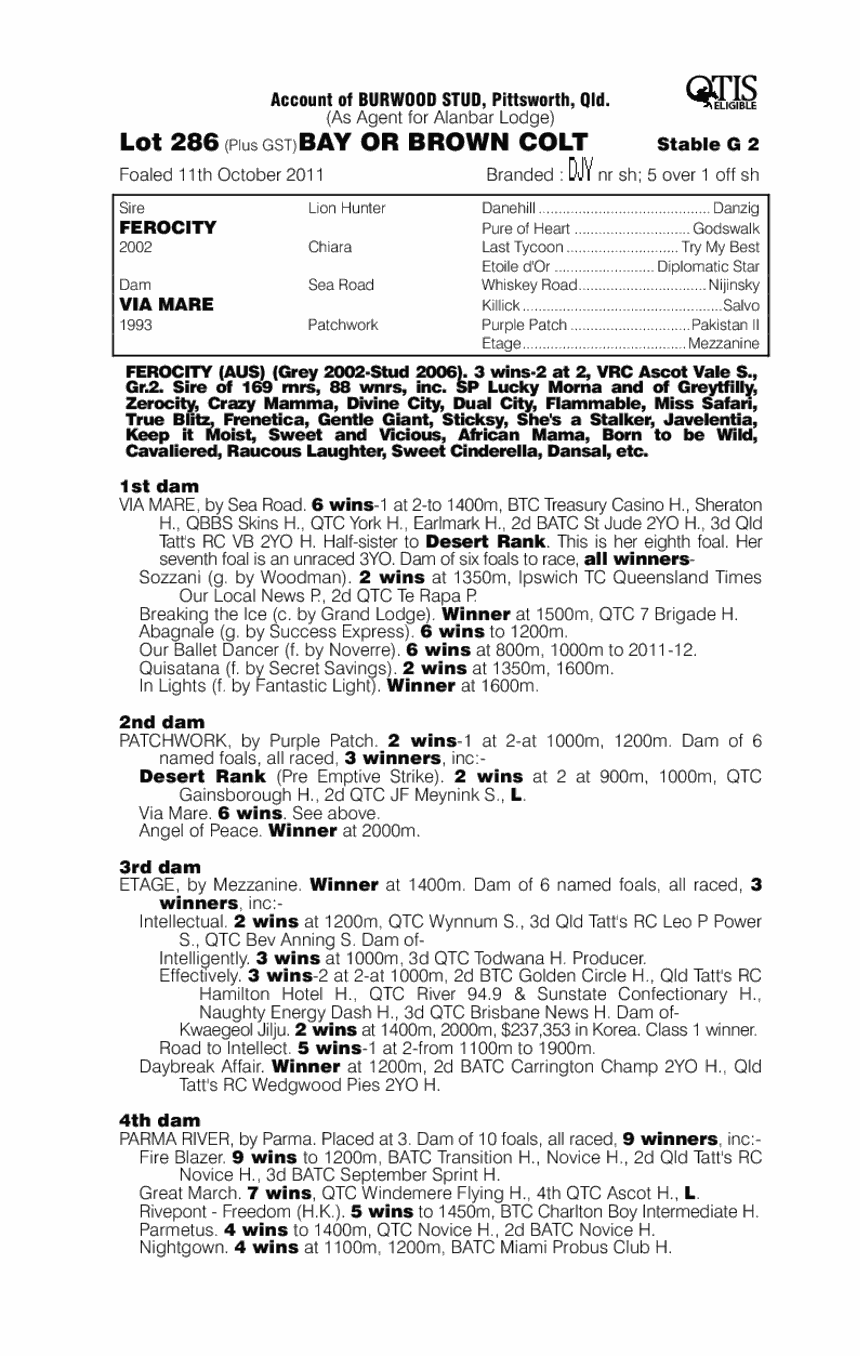 Mud Guard (AUS) - pedigree