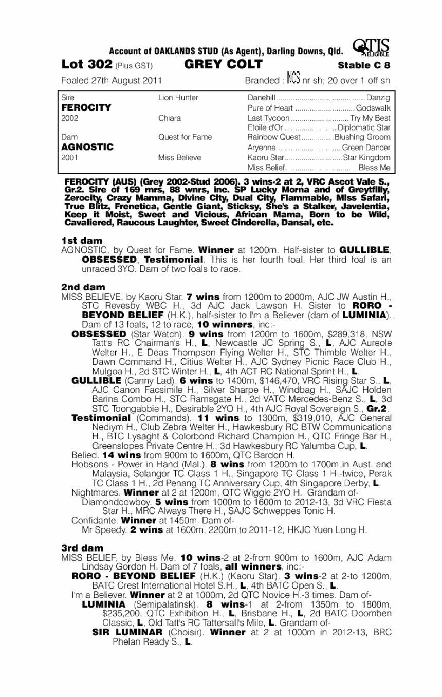 Starocity (AUS) - pedigree