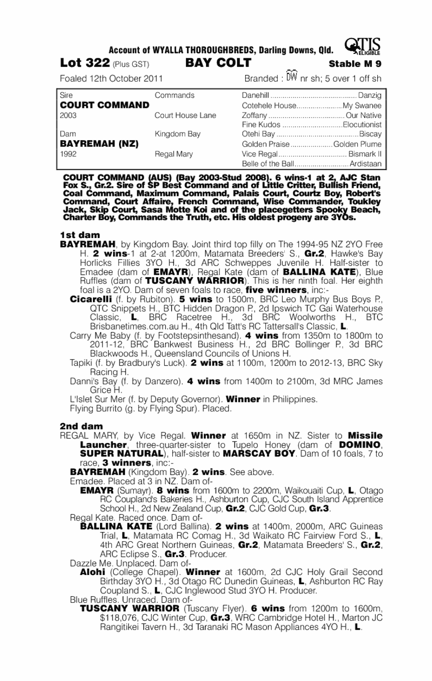 Directive (AUS) - pedigree