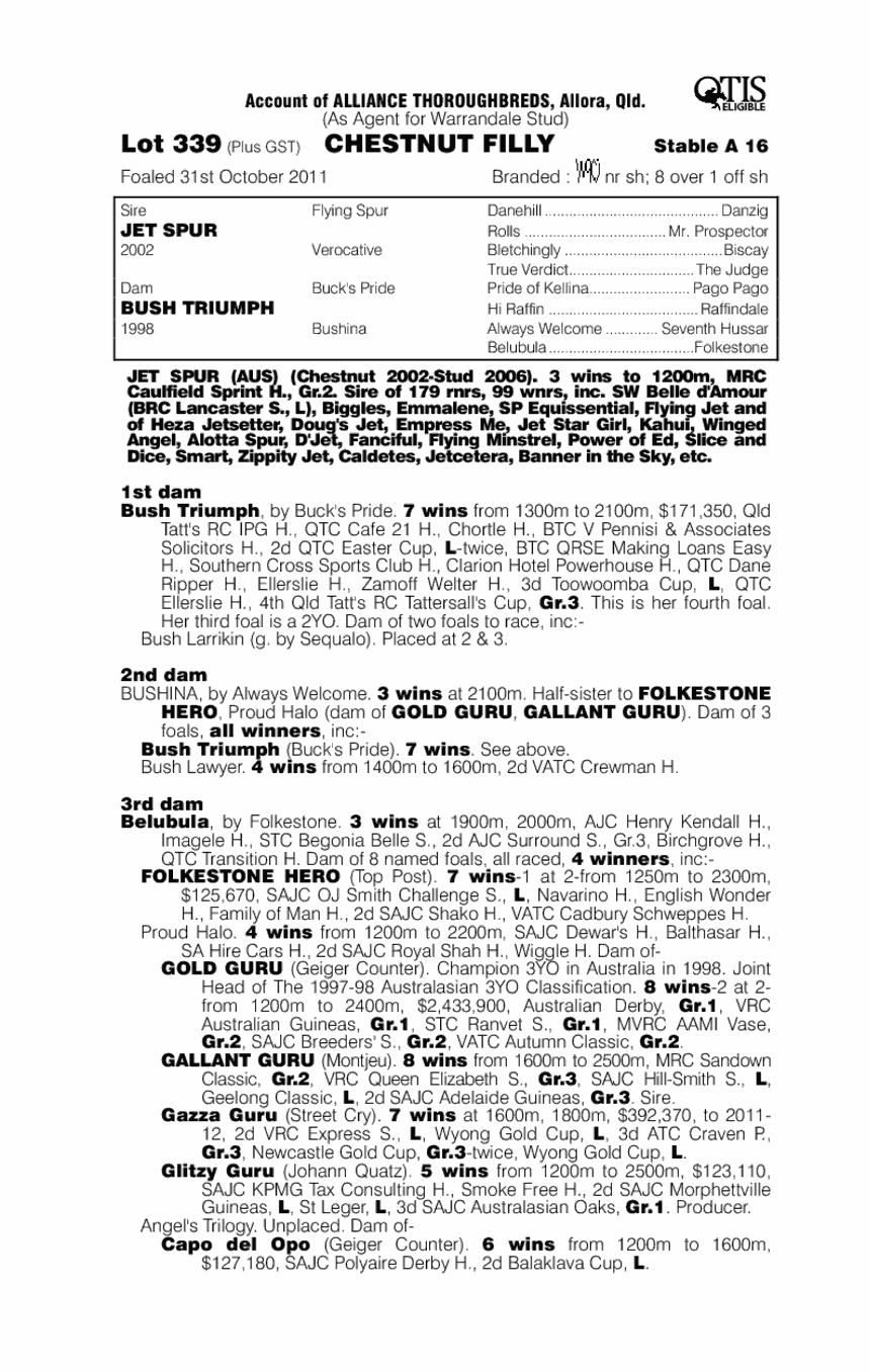 Aviator Girl (AUS) - pedigree