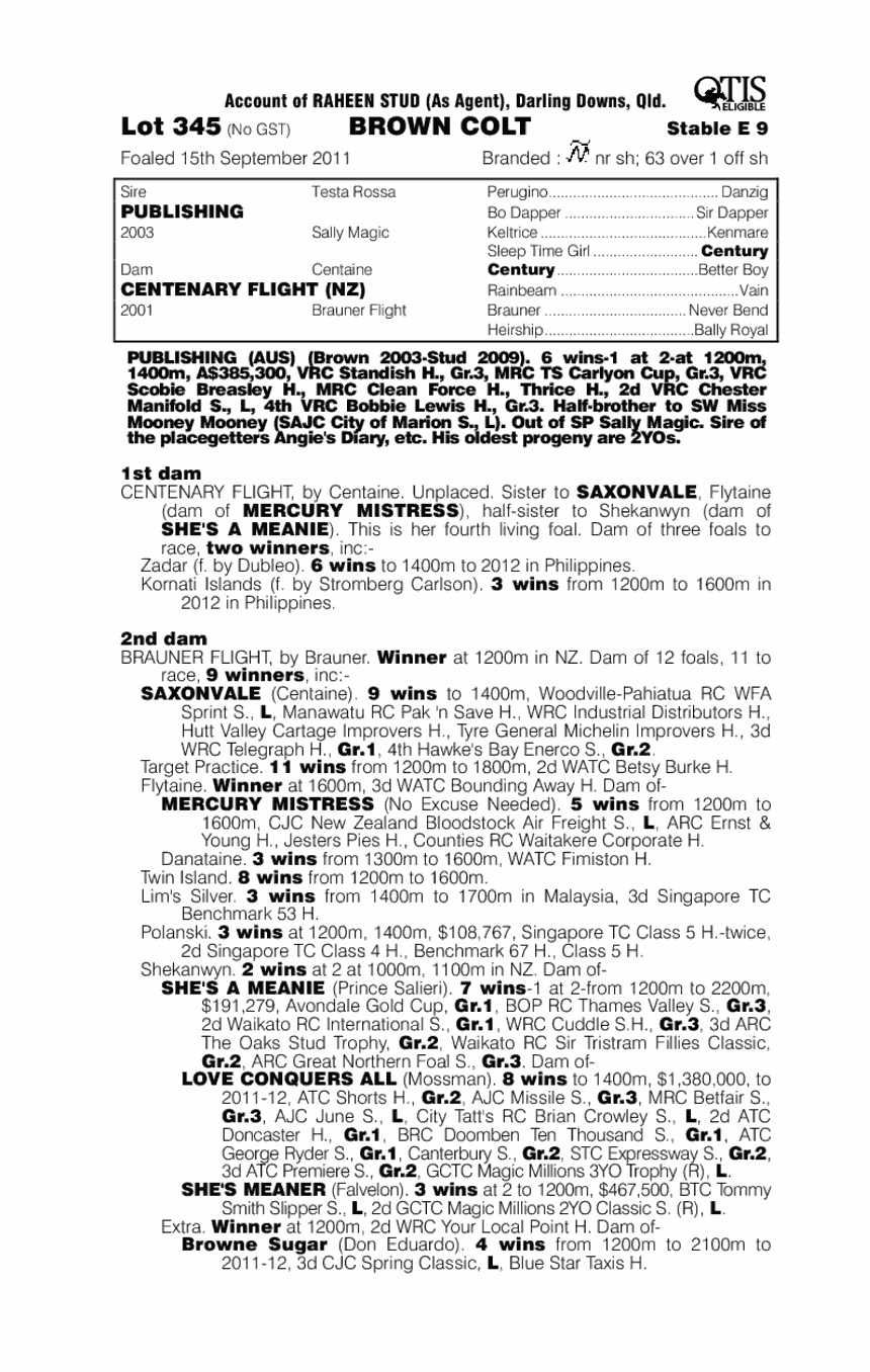 Canongate (AUS) - pedigree