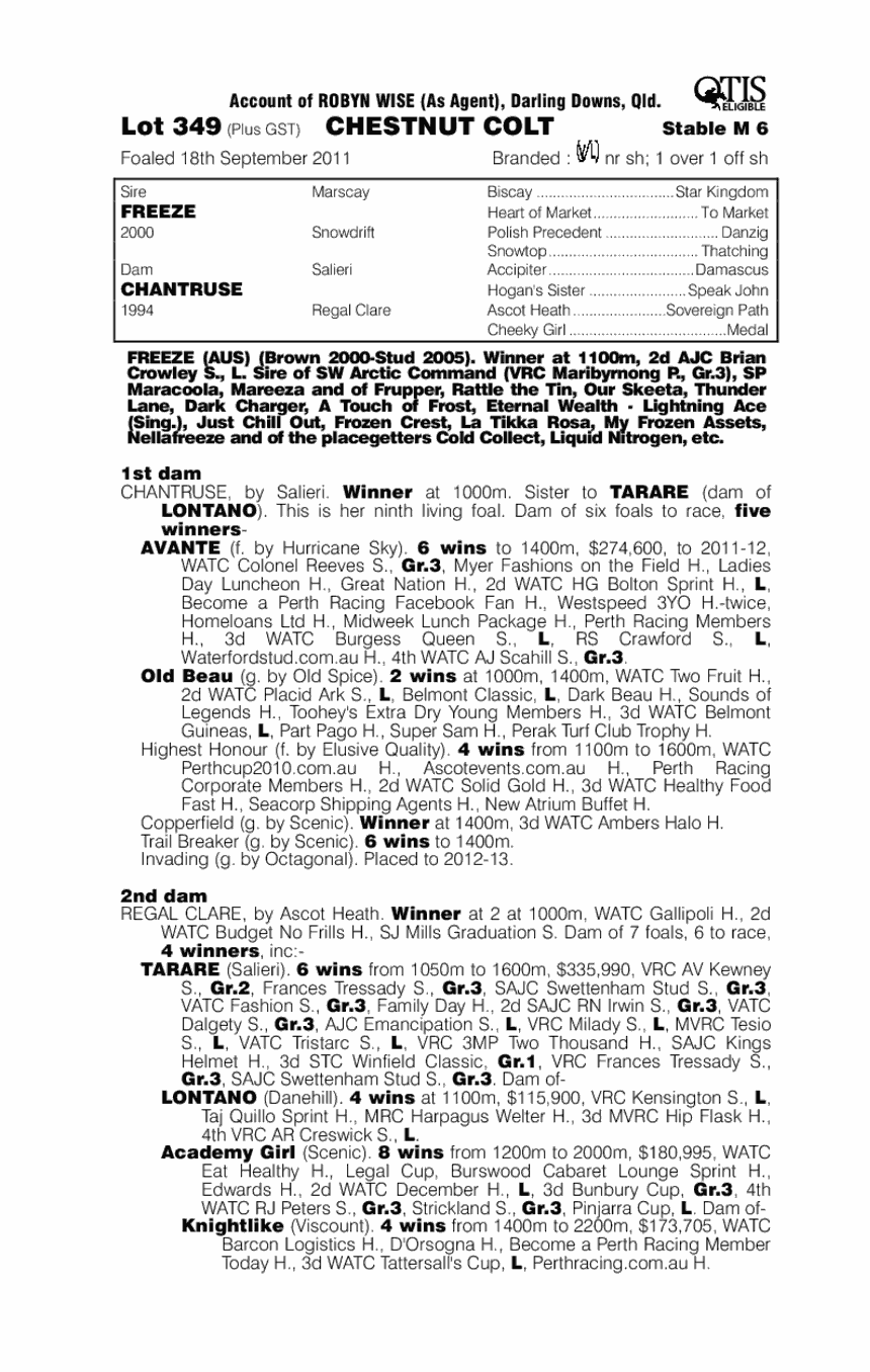 Visona Red (AUS) - pedigree