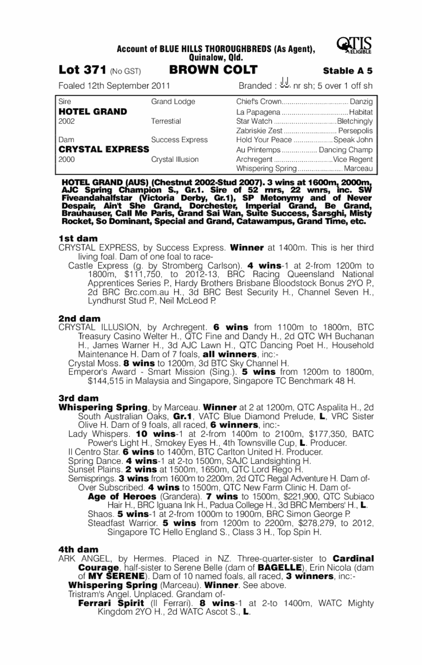 Hotel Crystal (AUS) - pedigree