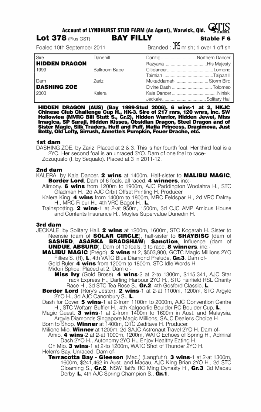 Hidden Edition (AUS) - pedigree