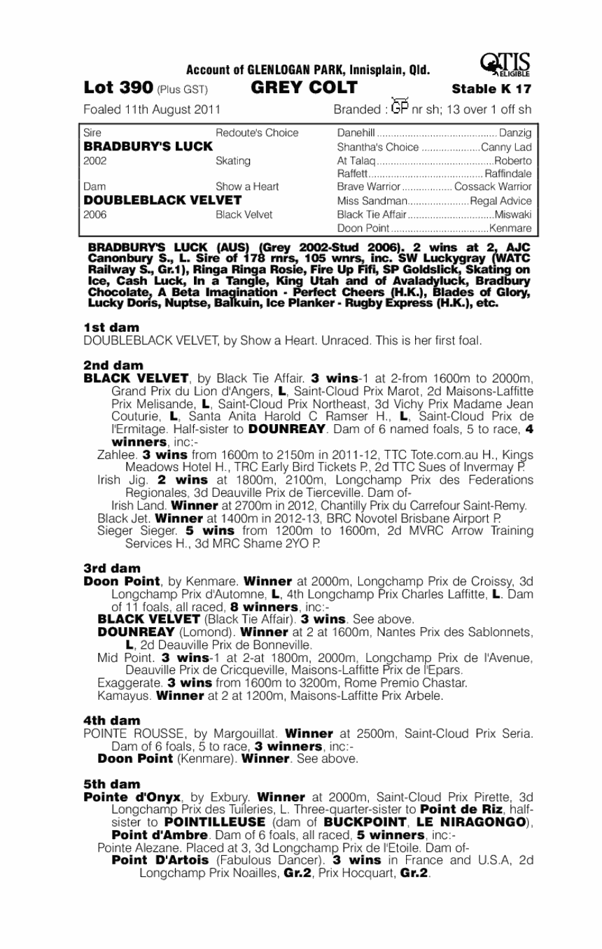 Bradbury's Luck (AUS) / Doubleblack Velvet (AUS) - pedigree