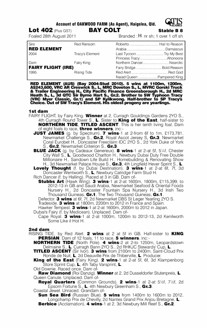 Element Jack (AUS) - pedigree