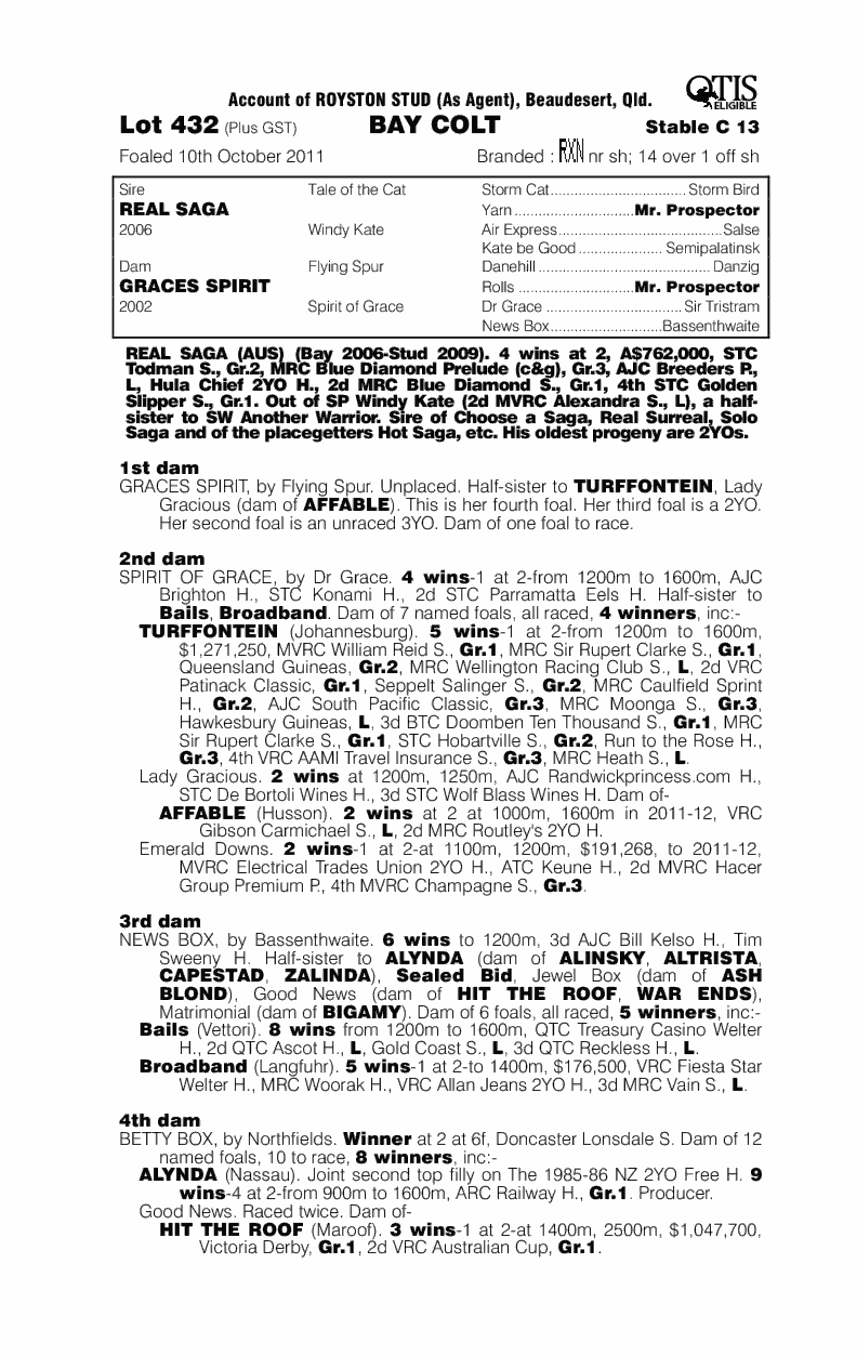 Real Saga (AUS) / Graces Spirit (AUS) - pedigree