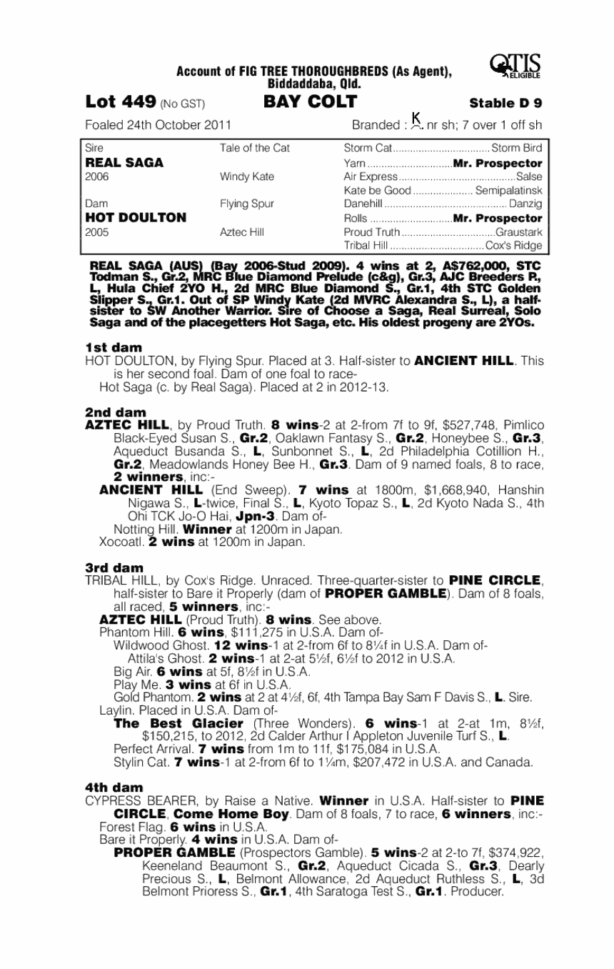 Real Winners (AUS) - pedigree