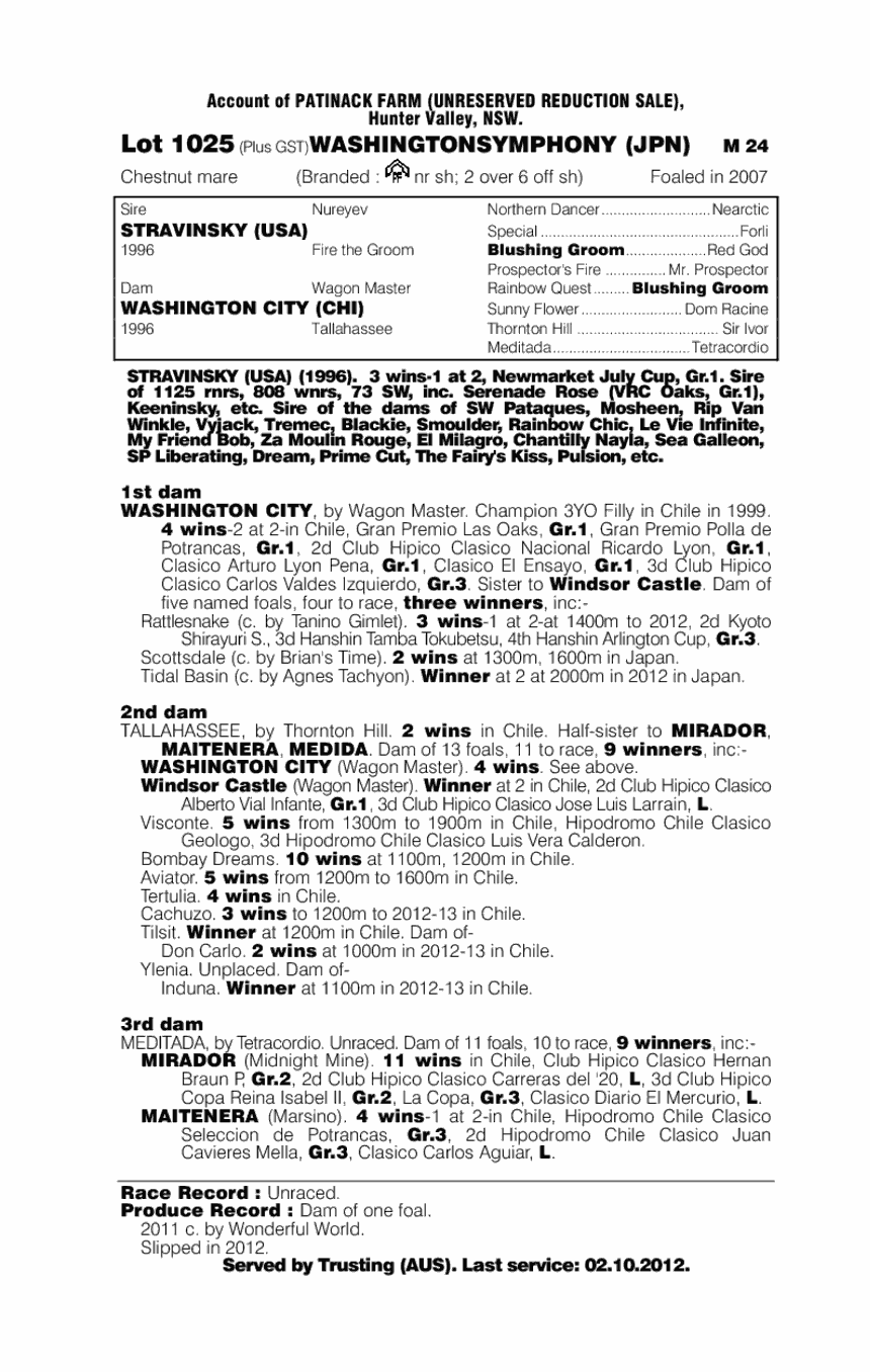 Washingtonsymphony (JPN) - pedigree