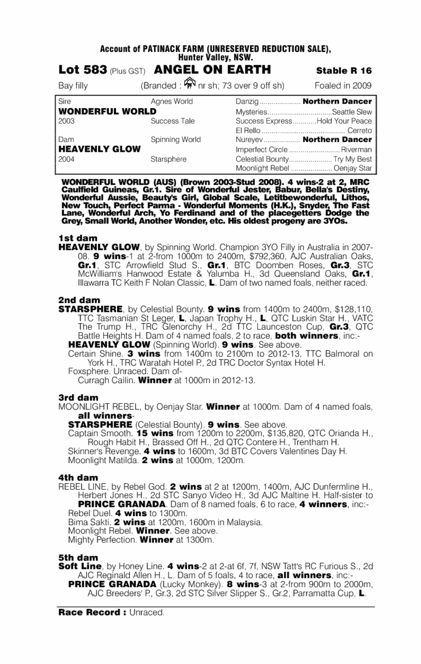 Angel On Earth - pedigree