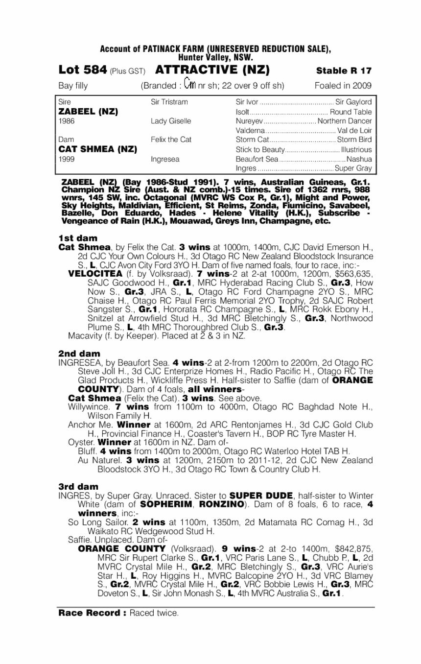 Attractive (NZ) - pedigree