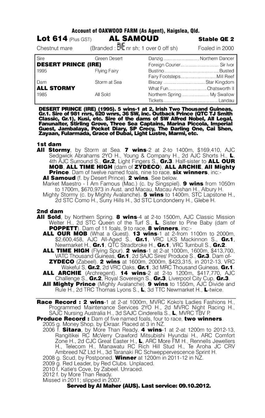 Al Samoud - pedigree