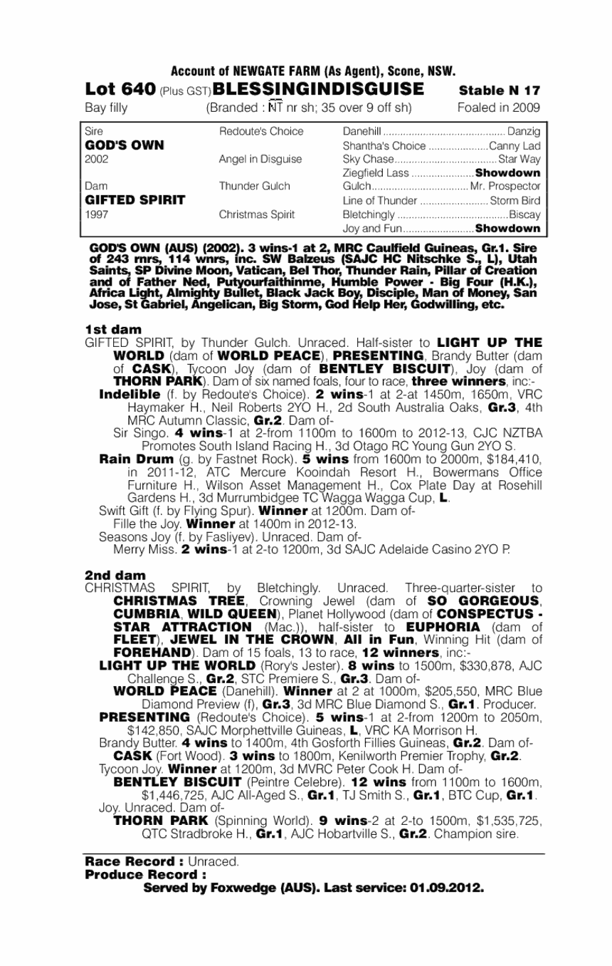 Blessingindisguise (AUS) - pedigree