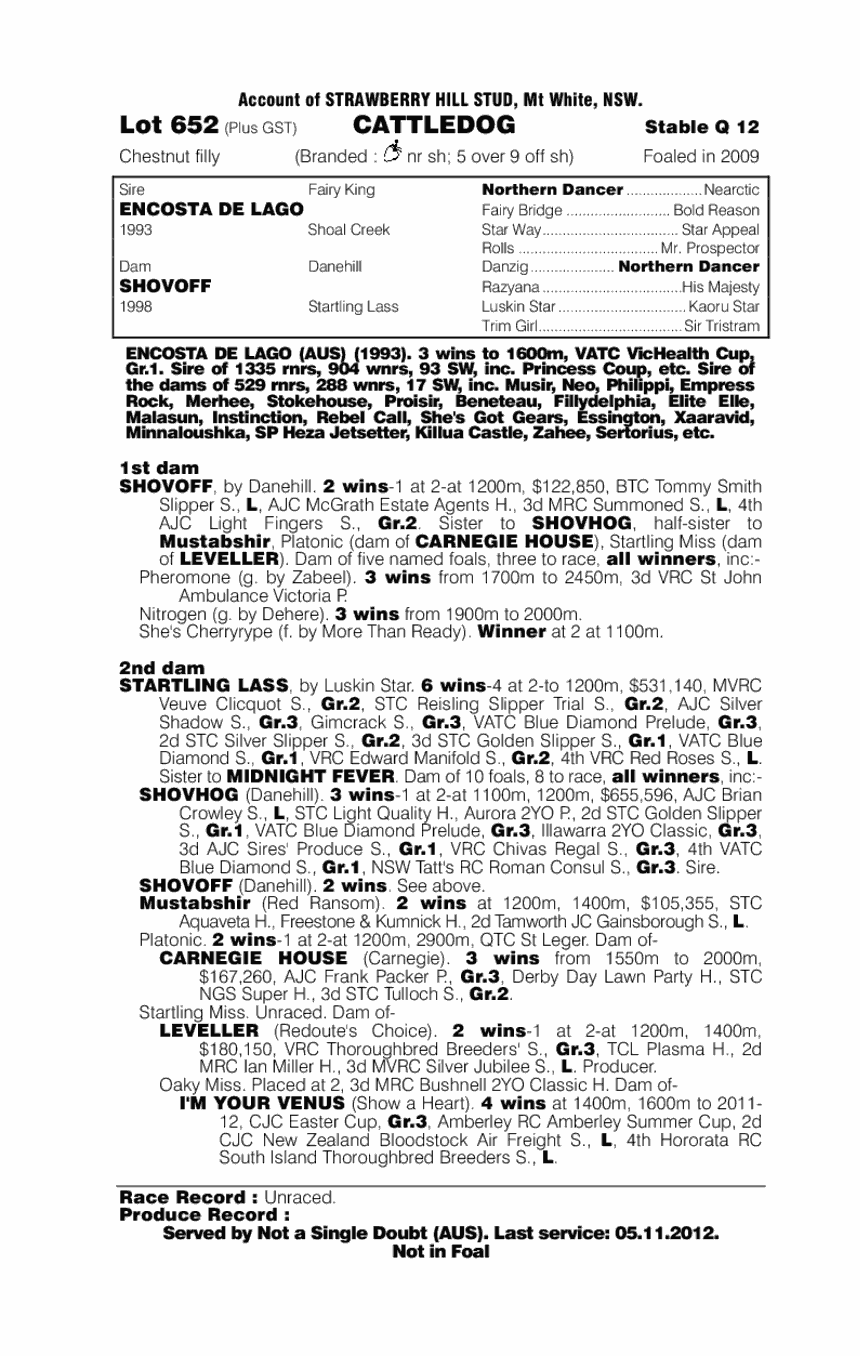 Cattledog - pedigree