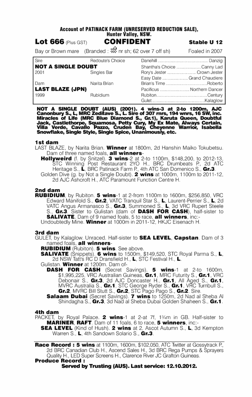 Confident (AUS) - pedigree