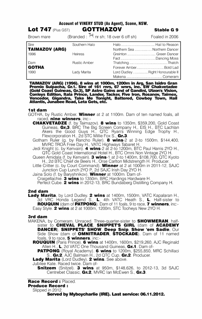 Gotthazov - pedigree