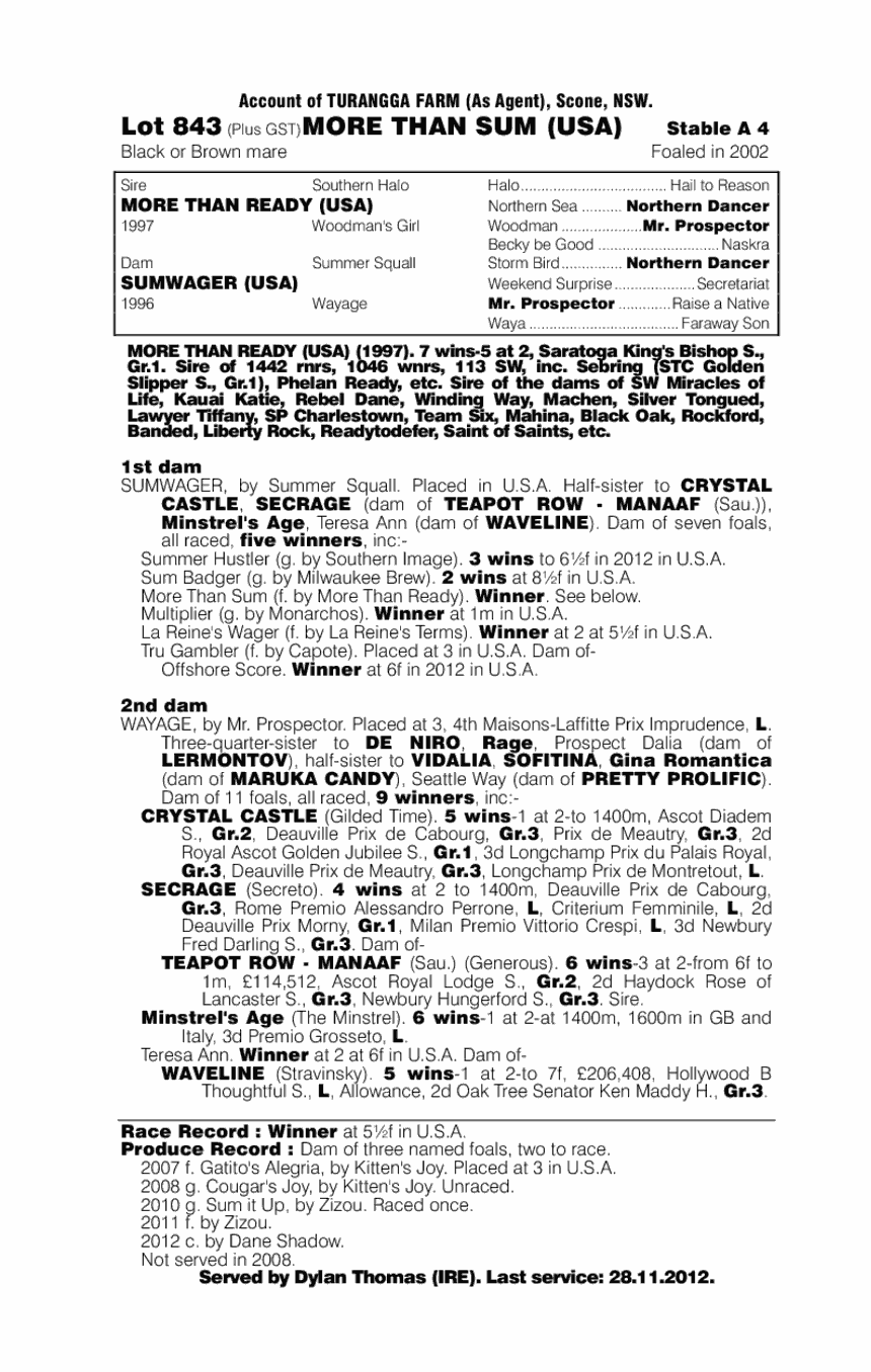 More Than Sum (USA) - pedigree