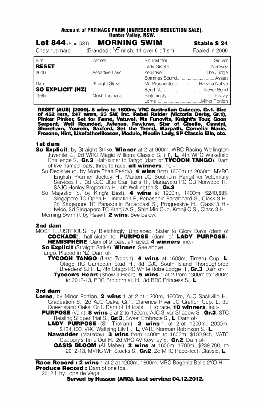 Morning Swim - pedigree