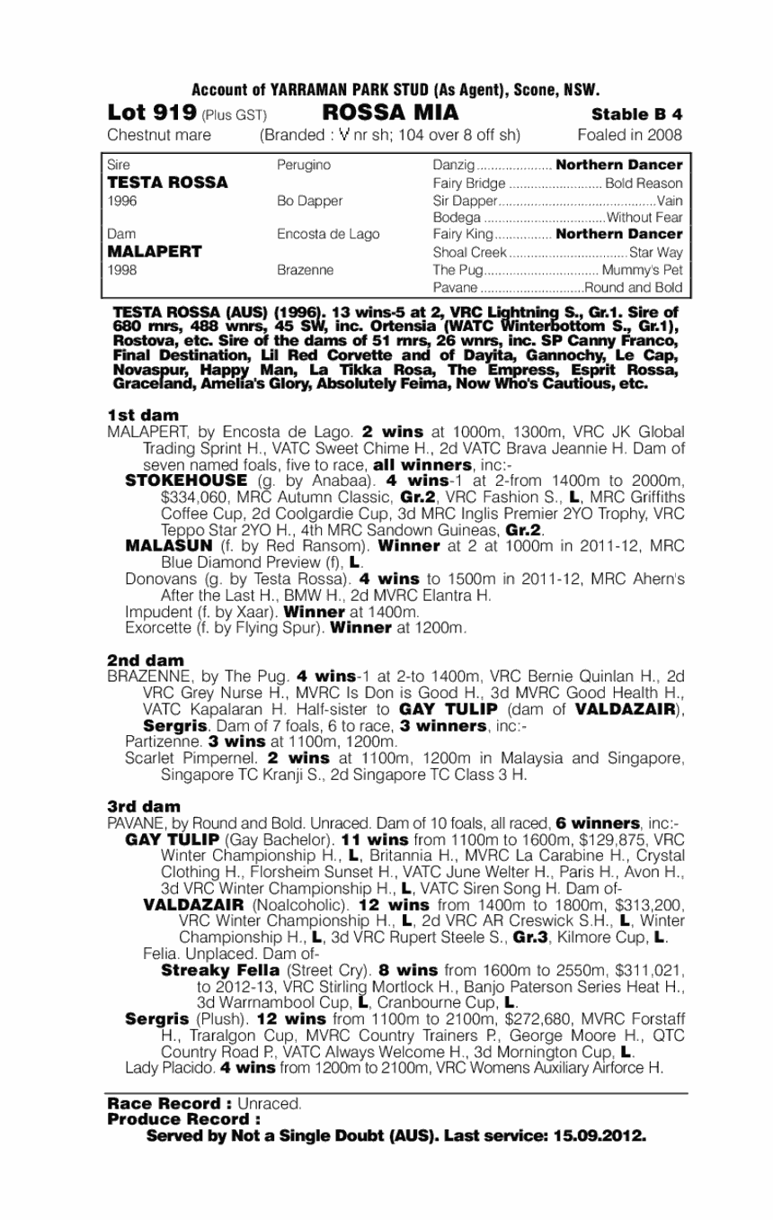 Rossa Mia - pedigree